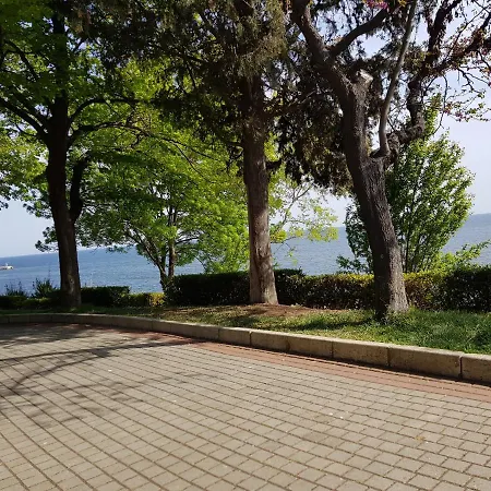 Luxury Double Bed Apartment-studio In 